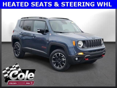 2023 Jeep Renegade for sale at COLE Automotive in Kalamazoo MI