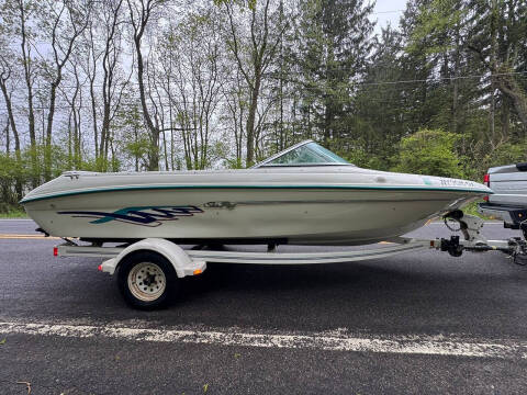 1995 Sea Ray 175