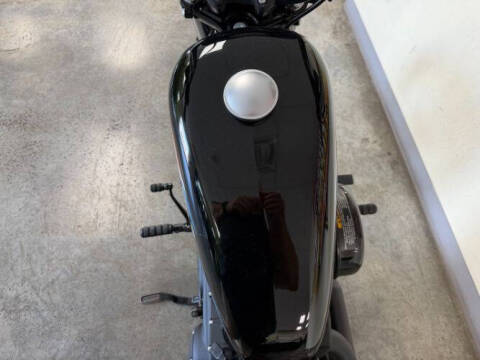 2021 Harley-Davidson XL1200NS IRON
