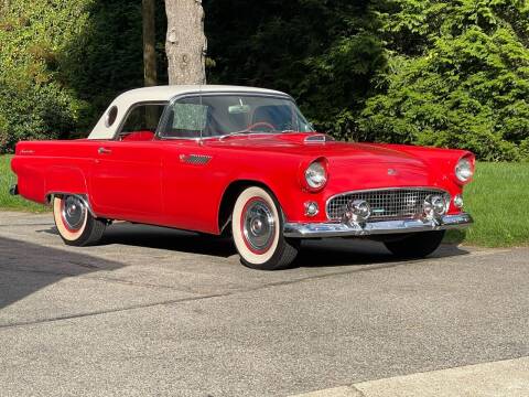 1955 Ford Thunderbird for sale at The Car Store in Milford MA
