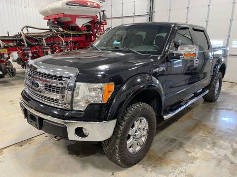 2013 Ford F-150 for sale at RDJ Auto Sales in Kerkhoven MN