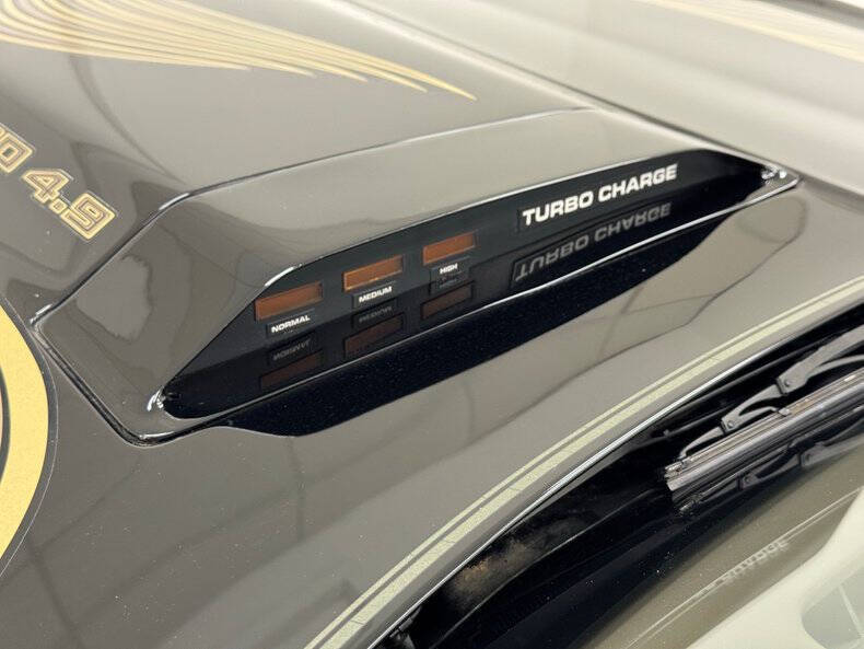 1981 Pontiac Firebird Trans Am