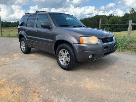 2003 Ford Escape for sale at TRAVIS AUTOMOTIVE in Corryton TN