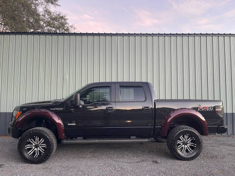 2012 Ford F-150 for sale at DLUX MOTORSPORTS in Ladson SC