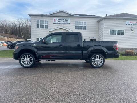 2010 Ford F-150 for sale at SOUTHERN SELECT AUTO SALES in Medina OH