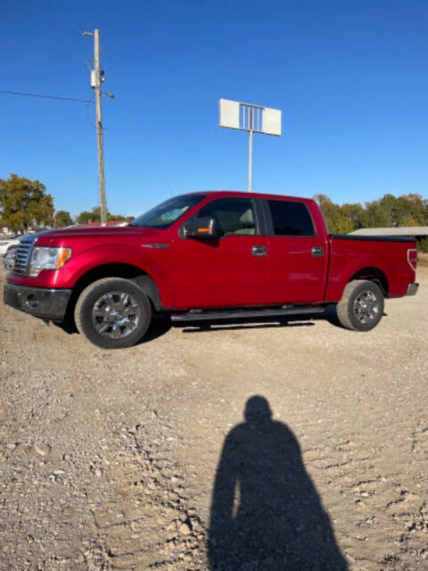 2010 Ford F-150 for sale at Cove Creek Motors LLC in Damascus, AR