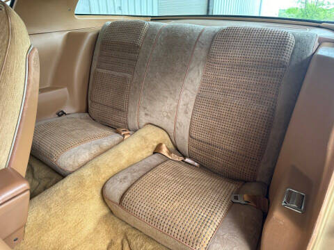 1980 Pontiac Firebird Trans Am