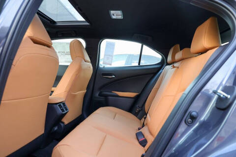 2025 Lexus UX 300h Premium