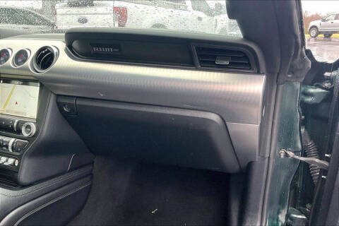 2019 Ford Mustang BULLITT