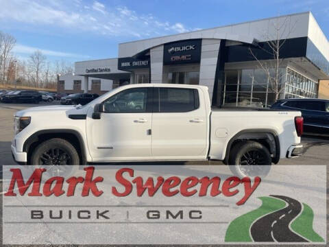2023 GMC Sierra 1500 for sale at Mark Sweeney Buick GMC in Cincinnati OH