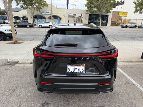 2024 Lexus NX 250