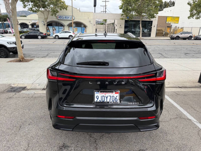 2024 Lexus NX 250