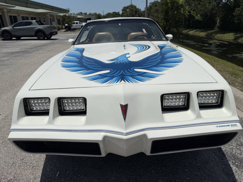 1981 Pontiac Firebird Trans Am