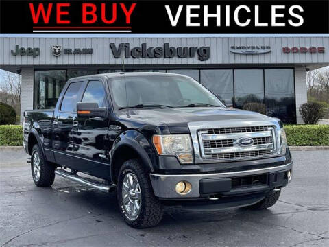 2014 Ford F-150 for sale at Vicksburg Chrysler Dodge Jeep Ram in Vicksburg MI