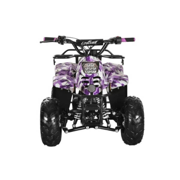 2025 Coolster 110cc 3050c