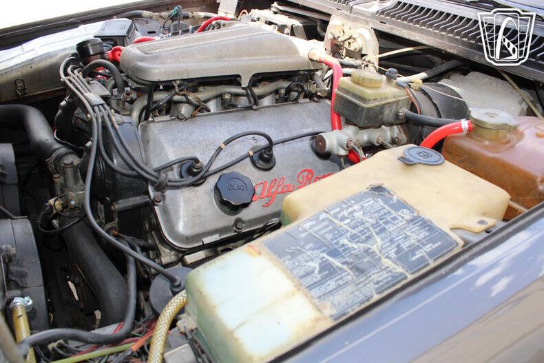 1981 Alfa Romeo GTV6