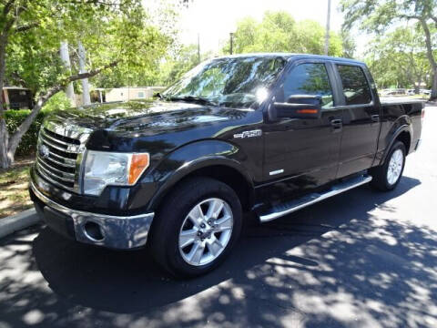 2013 Ford F-150 for sale at DONNY MILLS AUTO SALES in Largo FL