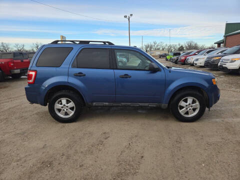 2010 Ford Escape XLT