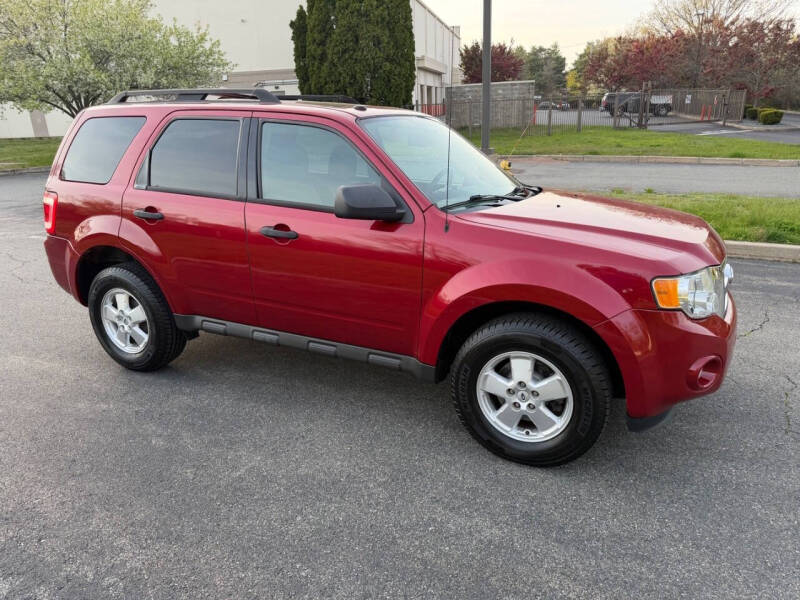 2011 Ford Escape XLT