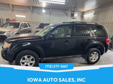 2011 Ford Escape Limited