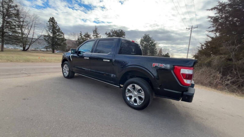 2023 Ford F-150 Platinum photo 3