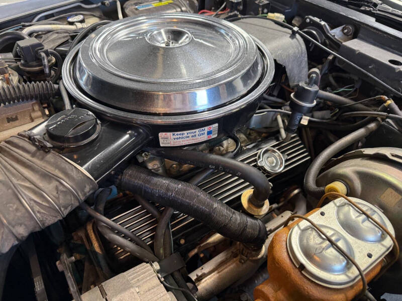 1981 Chevrolet Corvette