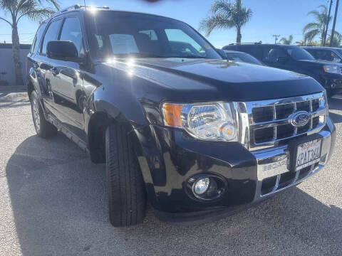 2011 Ford Escape Limited
