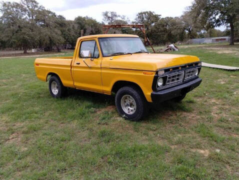 1976 Ford F-150 for sale at Classic Car Deals in Cadillac MI