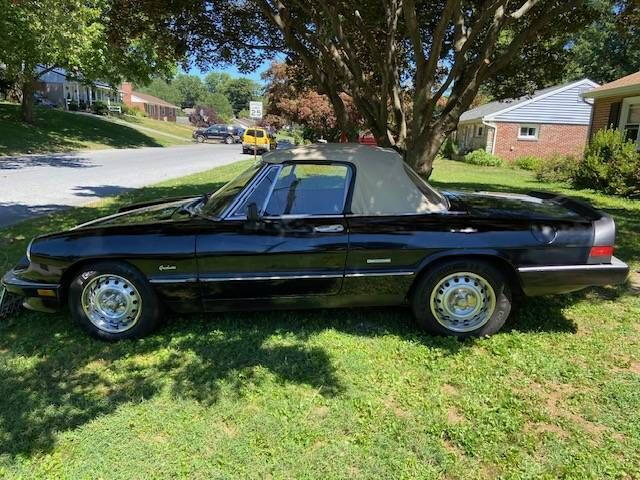 1987 Alfa Romeo Graduate Spider