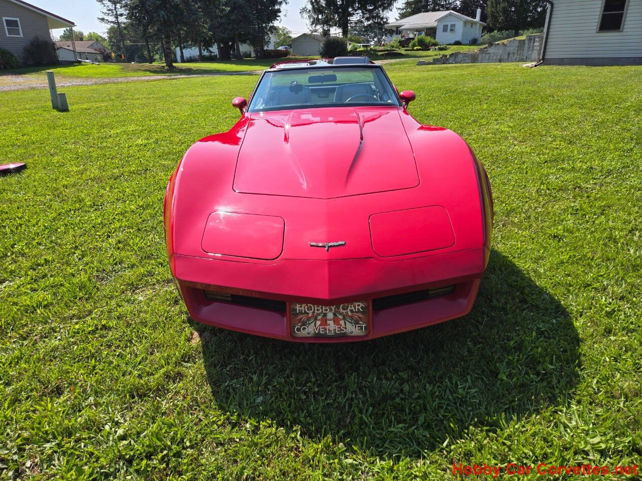 1981 Chevrolet Corvette 14