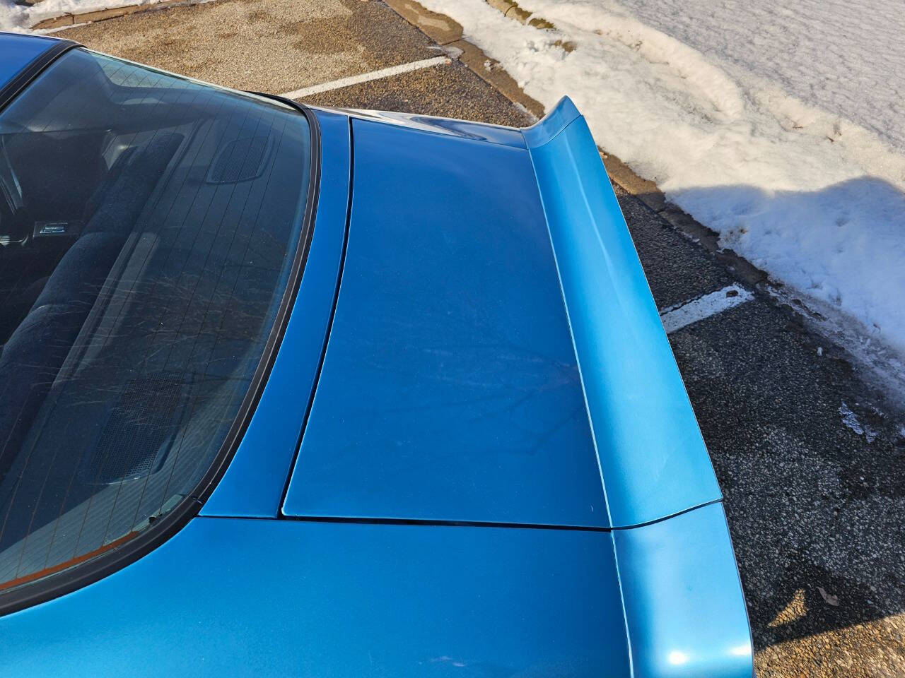 1980 Pontiac Firebird Trans Am 219