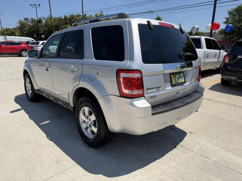 2010 Ford Escape Limited