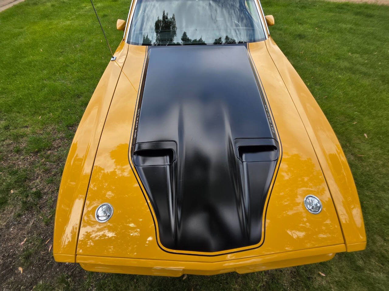 1971 Ford Mustang 91