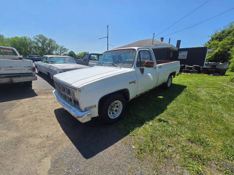 1981 GMC C/K 1500 Series C1500