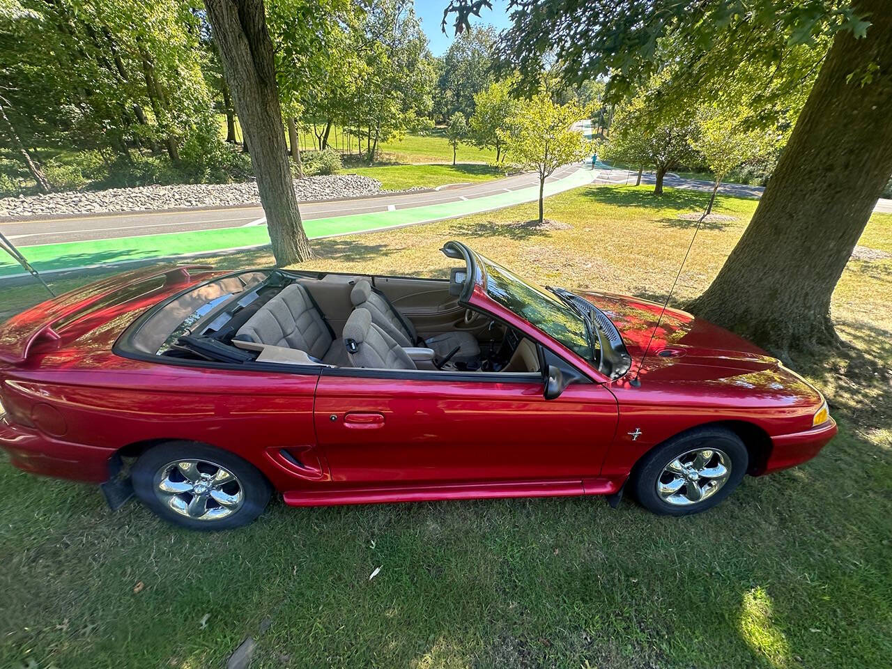 1998 Ford Mustang for sale at Froggy Cars LLC in Hamburg, NJ