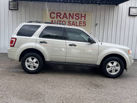 2009 Ford Escape XLT