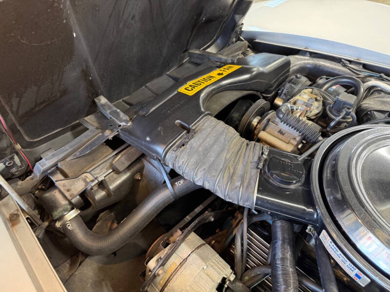 1981 Chevrolet Corvette