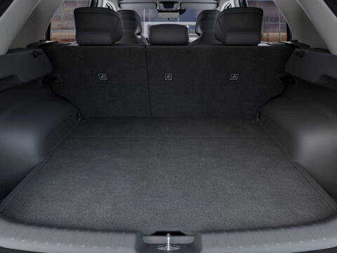 2025 Kia Niro EV Wind