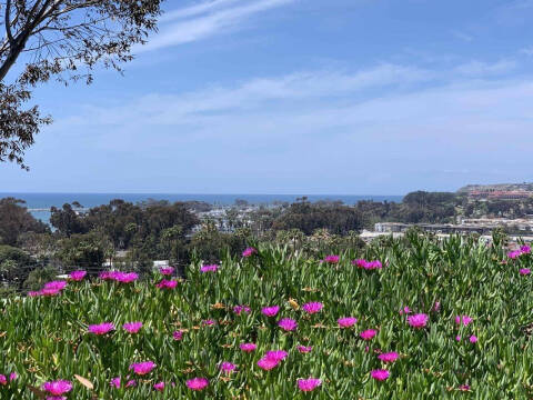 2003 Ford Mustang Premium