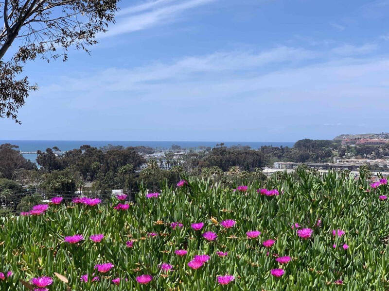 2003 Ford Mustang Premium