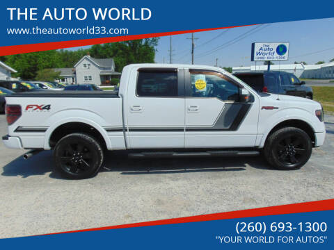 2014 Ford F-150 for sale at THE AUTO WORLD in Churubusco IN