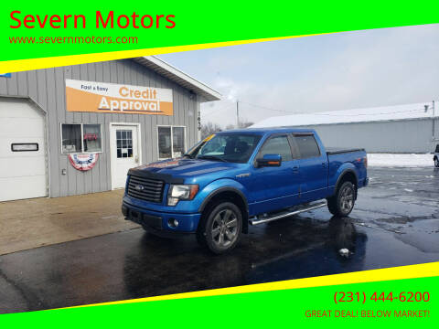 2011 Ford F-150 for sale at Severn Motors in Cadillac MI