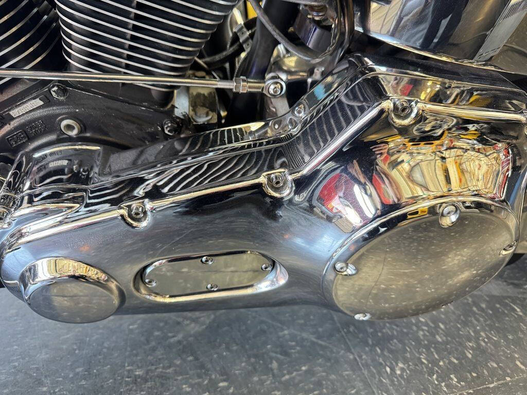 1999 Thunder Mountain Custom La Chopper 13