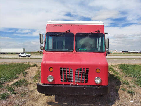 2009 Workhorse W62