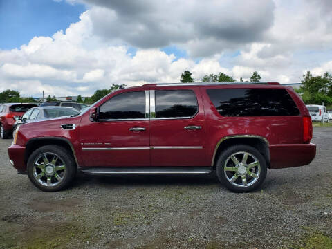 2007 Cadillac Escalade ESV for sale at M & M Auto Brokers in Chantilly VA