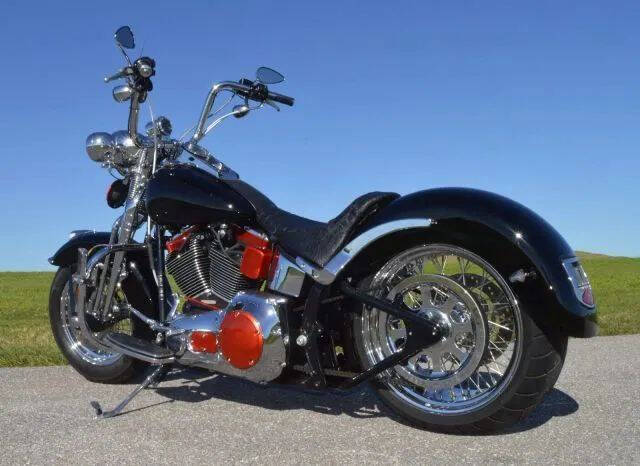 2002 Harley-Davidson FLSTS Heritage Springer