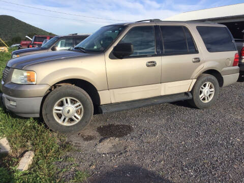 2003 Ford Expedition for sale at Troy's Auto Sales in Dornsife PA