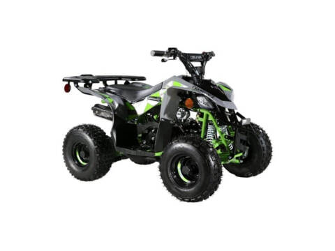 2025 Coolster 110cc 3050B2