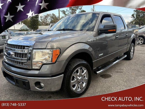2013 Ford F-150 for sale at CHECK AUTO, INC. in Tampa FL