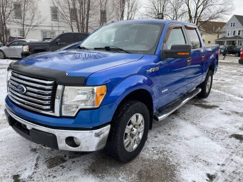 2011 Ford F-150 for sale at Lakeview Motor Sales in Lorain OH